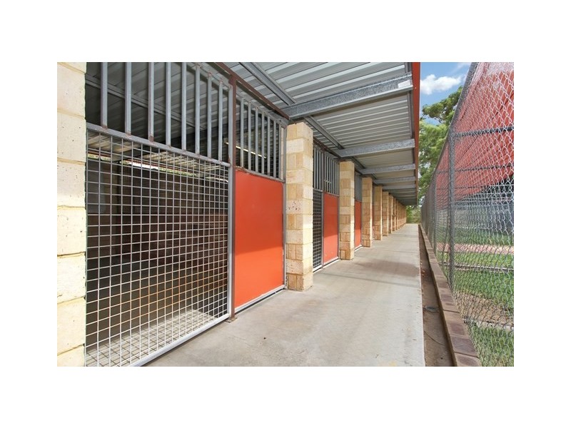 16 Cormorant Court, Southern River WA 6110