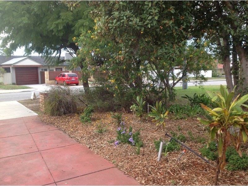 77 Redwood Crescent, Melville WA 6156