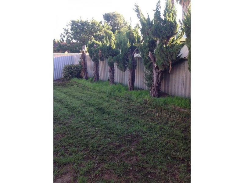 21 Lyrebird Way, Thornlie WA 6108