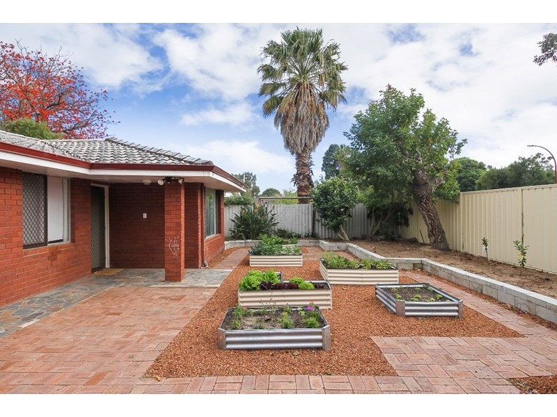 19 Coachwood Way, Maddington WA 6109