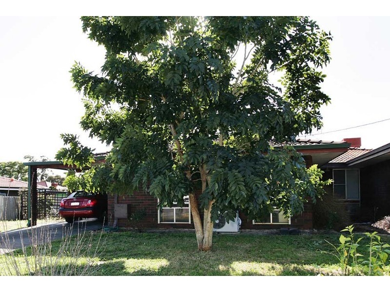 10A Kingsdown Road, Maddington WA 6109