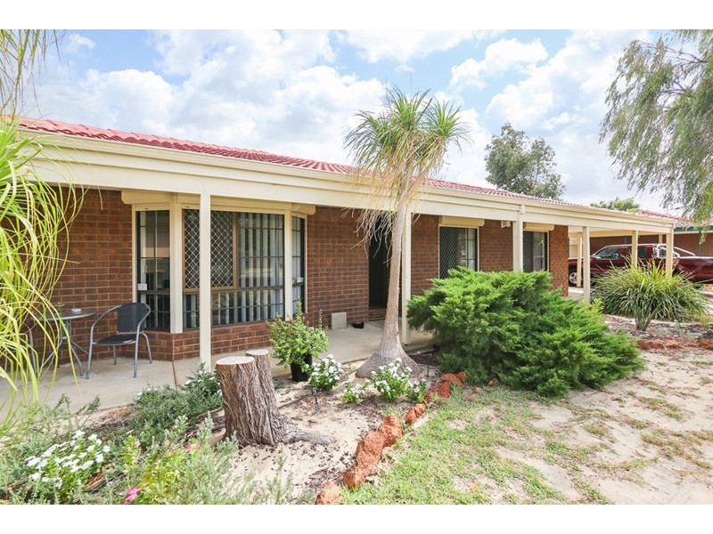 110 Pitchford Avenue, Maddington WA 6109