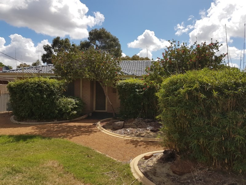 18 Borden Street, Maddington WA 6109