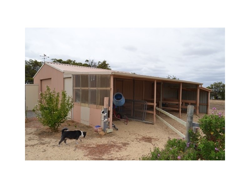 7 Warburton Street, Tenterden WA 6322