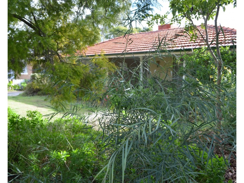 128 Blanche Street, Gosnells WA 6110