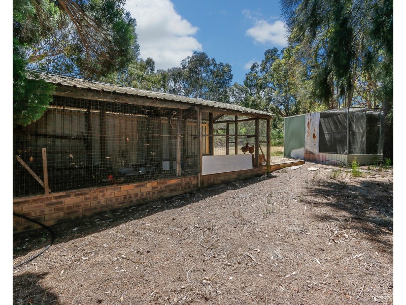 14 McKenzie Grove, Kelmscott WA 6111