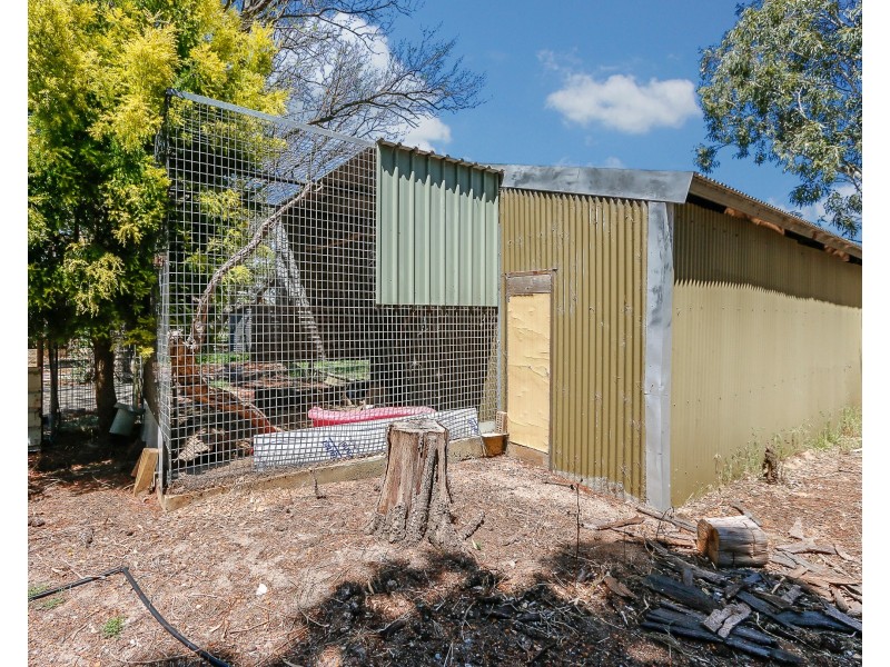 14 McKenzie Grove, Kelmscott WA 6111