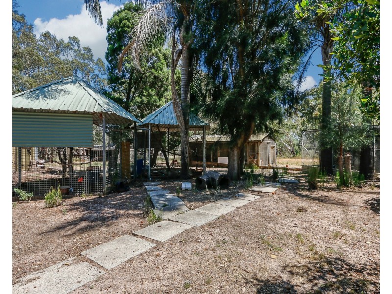 14 McKenzie Grove, Kelmscott WA 6111