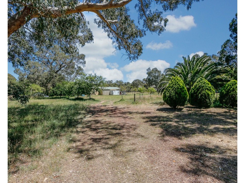 14 McKenzie Grove, Kelmscott WA 6111