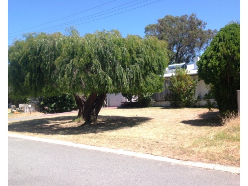 3 Colleen Street, Gosnells WA 6110