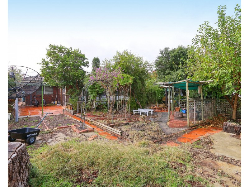 14 Hibiscus Road, Maddington WA 6109