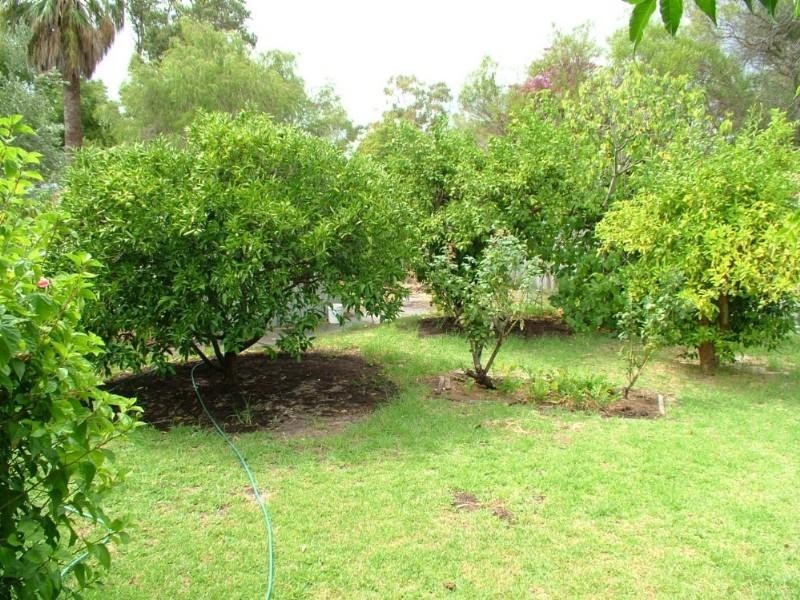 12 Ward Crescent, Kelmscott WA 6111