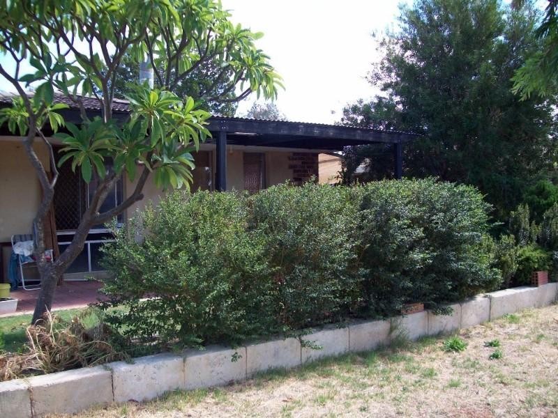 19 Conifer Street, Maddington WA 6109