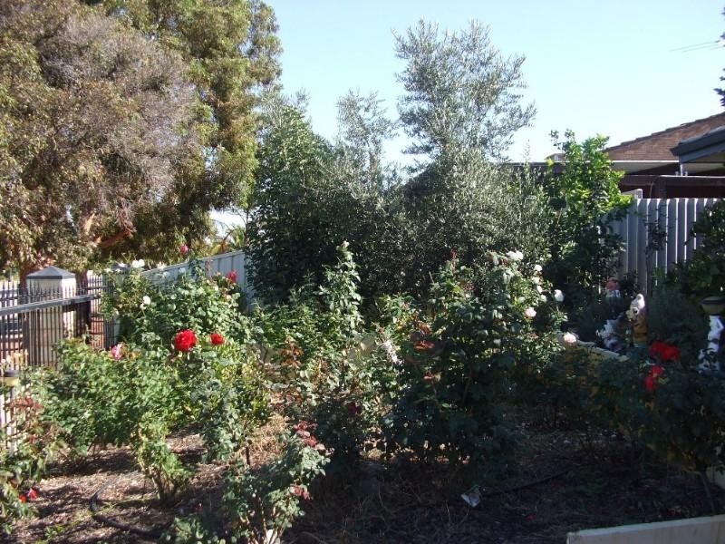 86 Ashburton Drive, Gosnells WA 6110