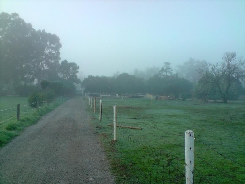 38 River Avenue, Maddington WA 6109