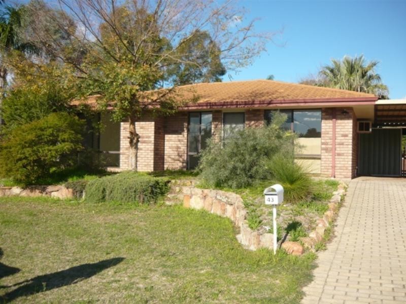 43 Dwyer Crescent, Gosnells WA 6110