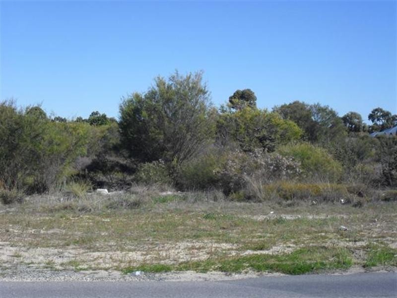 1 Bullfinch Street, Huntingdale WA 6110