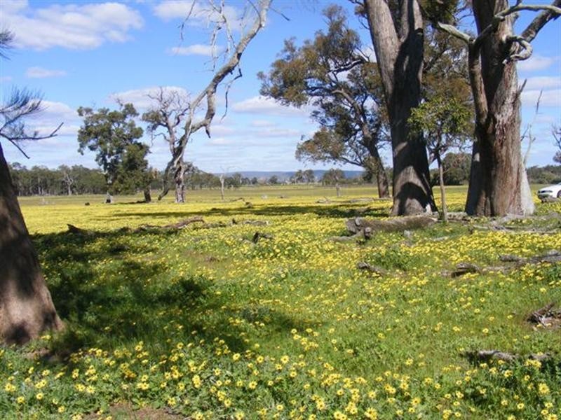 580 Elliott Road, Keysbrook WA 6126