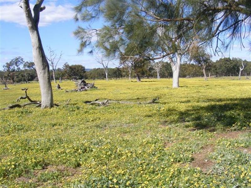 580 Elliott Road, Keysbrook WA 6126