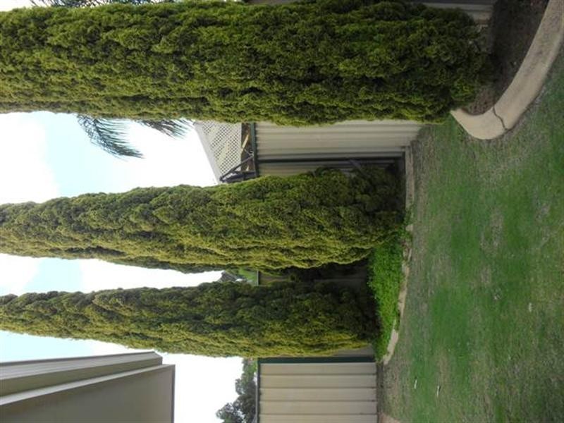 15 Akma Court, Maddington WA 6109