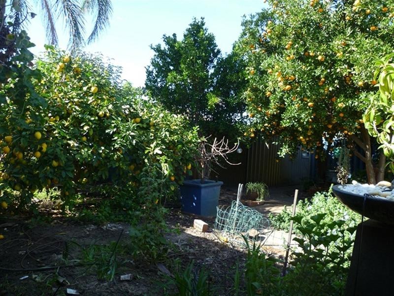 64 Weston Street, Maddington WA 6109