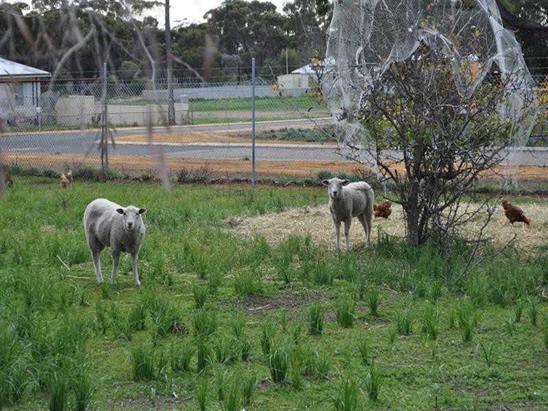 33 Stratford Street, Pingelly WA 6308