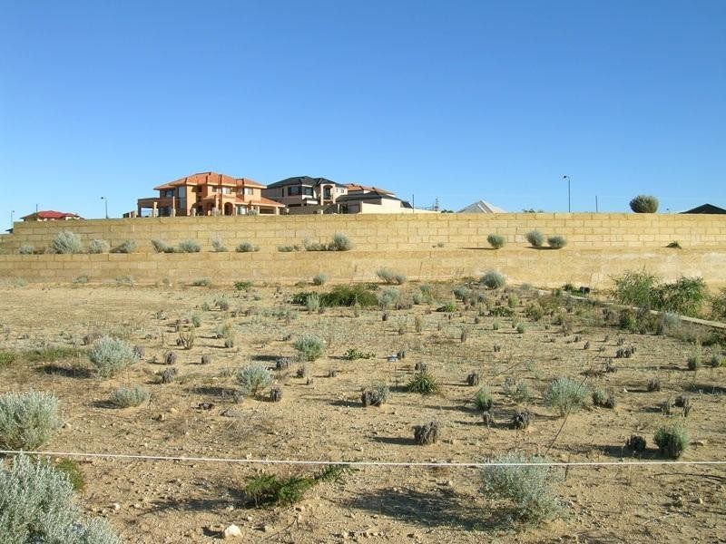 24 Paperbark Way, Wannanup WA 6210