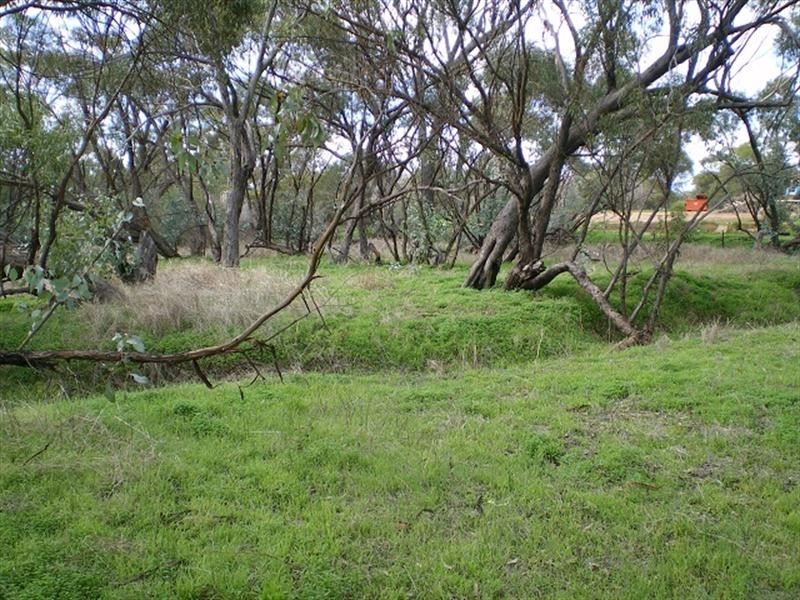Lot 270 Roe Street, York WA 6302