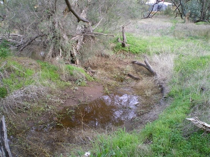 Lot 270 Roe Street, York WA 6302