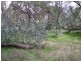 Lot 270 Roe Street, York WA 6302