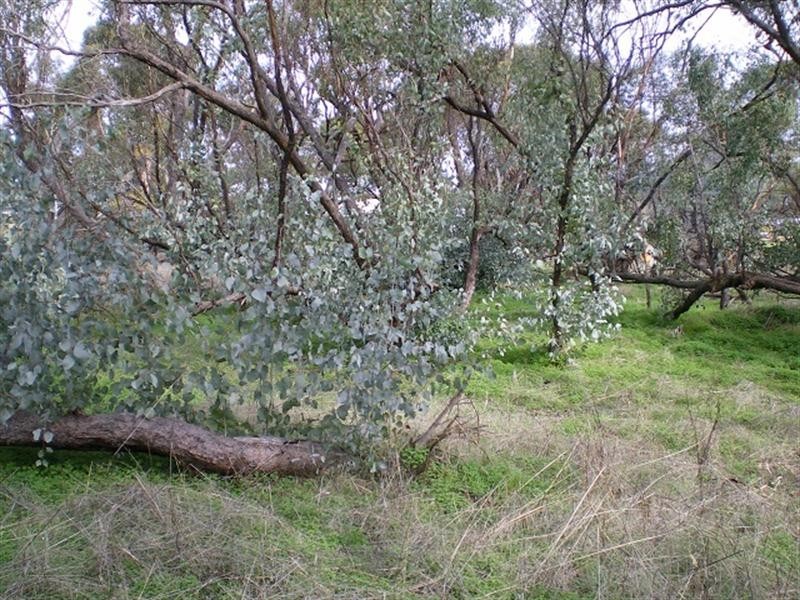 Lot 270 Roe Street, York WA 6302