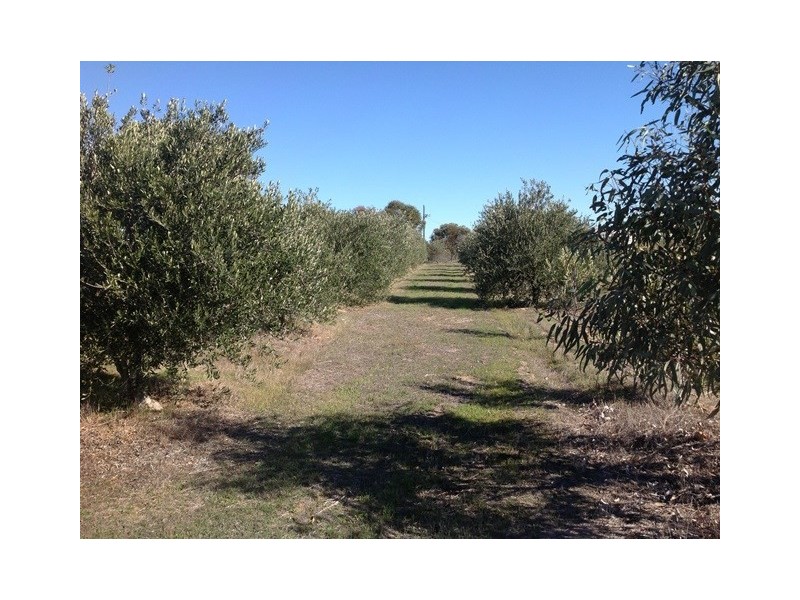 71 Tyrer Road, Brookton WA 6306