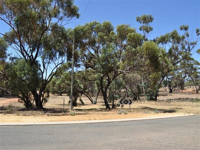 37 Paragon Street, Pingelly WA 6308