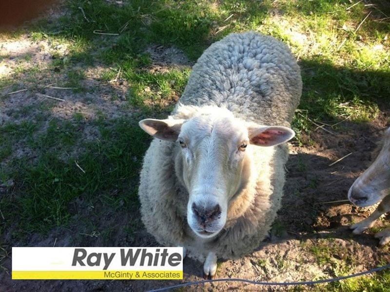 19 Mason Court, Serpentine WA 6125