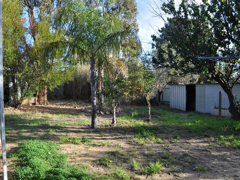 78 Northwood Street, Narrogin WA 6312