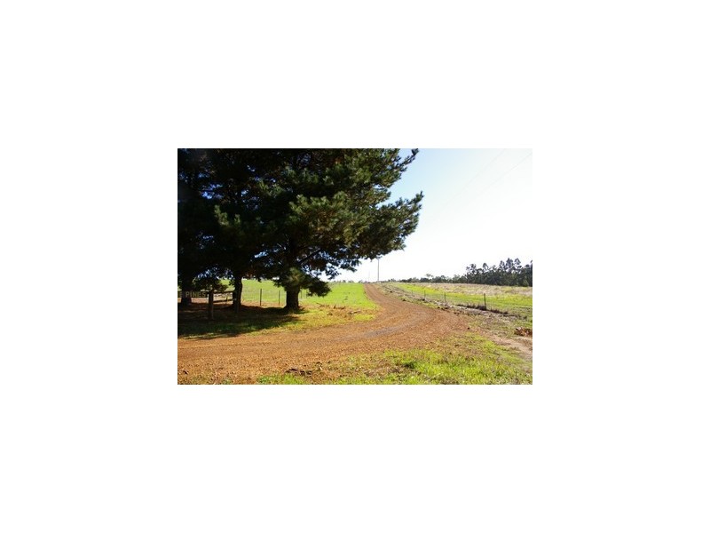 Lot 61 Thomas Road, Nannup WA 6275