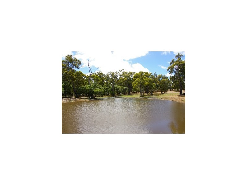 Lot 102 Loc 11214 Mt Leewin Loop, Nannup WA 6275