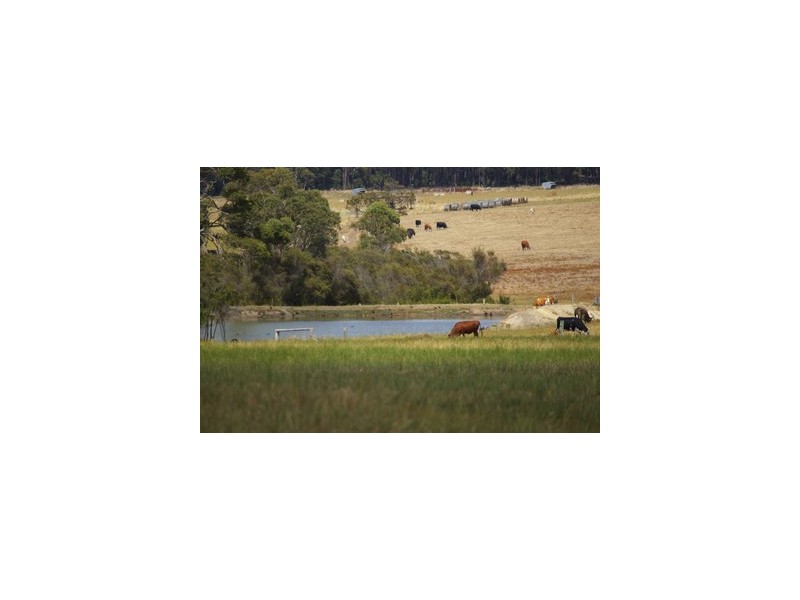 Lot 102 Loc 11214 Mt Leewin Loop, Nannup WA 6275