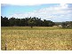 Lot 102 Loc 11214 Mt Leewin Loop, Nannup WA 6275