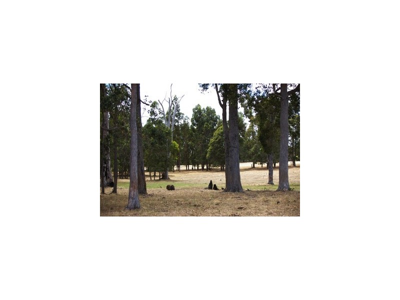 lot 103 Loc, 11214 Mt Leewin Loop, Nannup WA 6275