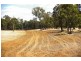 lot 103 Loc, 11214 Mt Leewin Loop, Nannup WA 6275