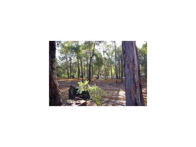 24 Walter Road, Nannup WA 6275