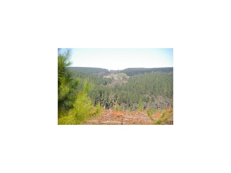 lot 962 dep plan 102425, Bridgetown WA 6255