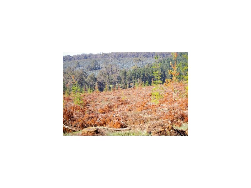 lot 962 dep plan 102425, Bridgetown WA 6255