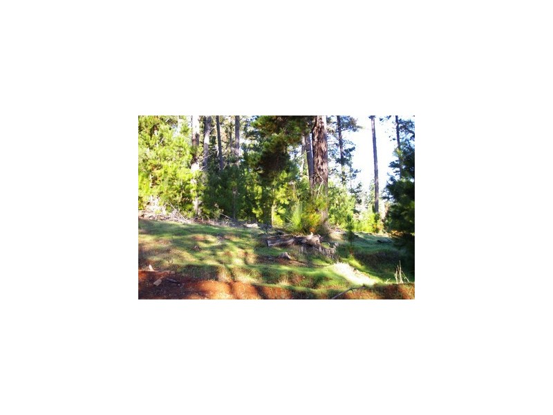 lot 962 dep plan 102425, Bridgetown WA 6255