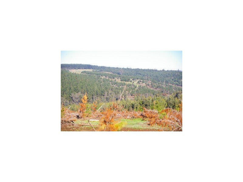 lot 962 dep plan 102425, Bridgetown WA 6255