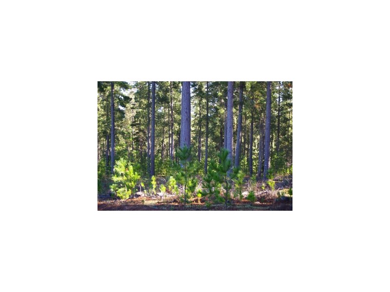 lot 962 dep plan 102425, Bridgetown WA 6255