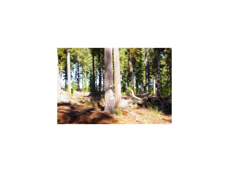 lot 962 dep plan 102425, Bridgetown WA 6255