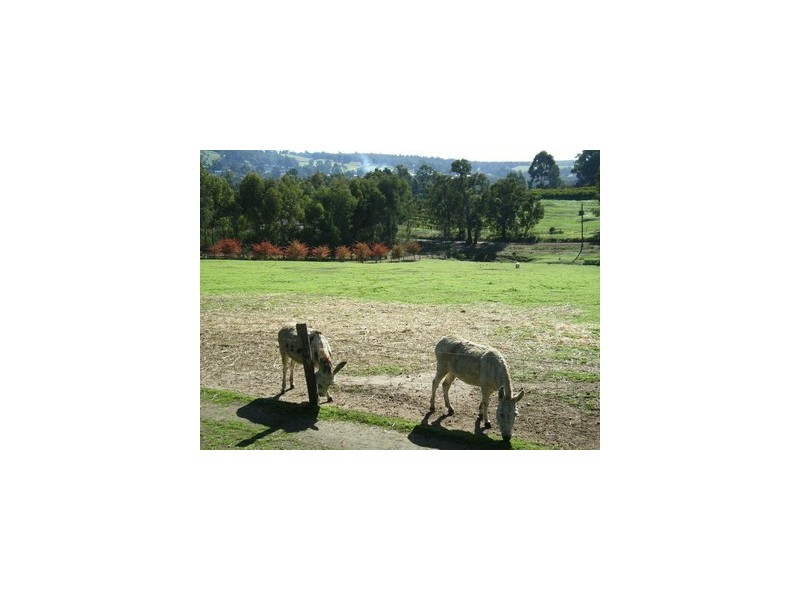 Lot 15 Doust, Bridgetown WA 6255