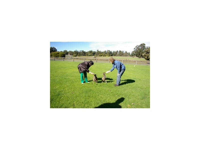 Lod 4027 Barrabup Road, Nannup WA 6275